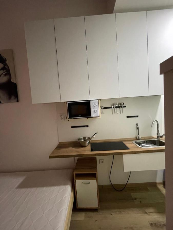 Red&Black Apartment City Centr, Na Hradbach 118 オストラヴァ エクステリア 写真